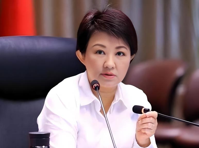 卢秀燕一句“台中捐熊本10万美金”，岛内蓝绿比着献殷勤；转头看七月广西大水、家园