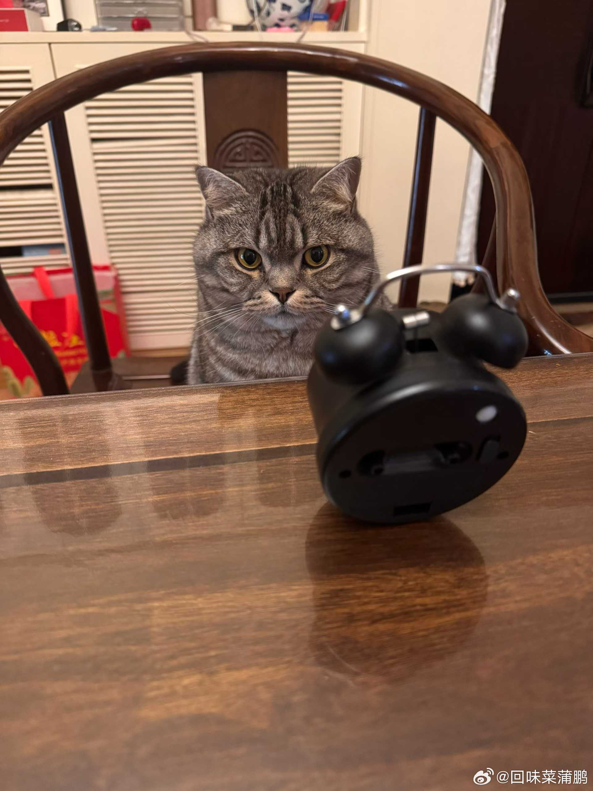 等待⌛️……？ 