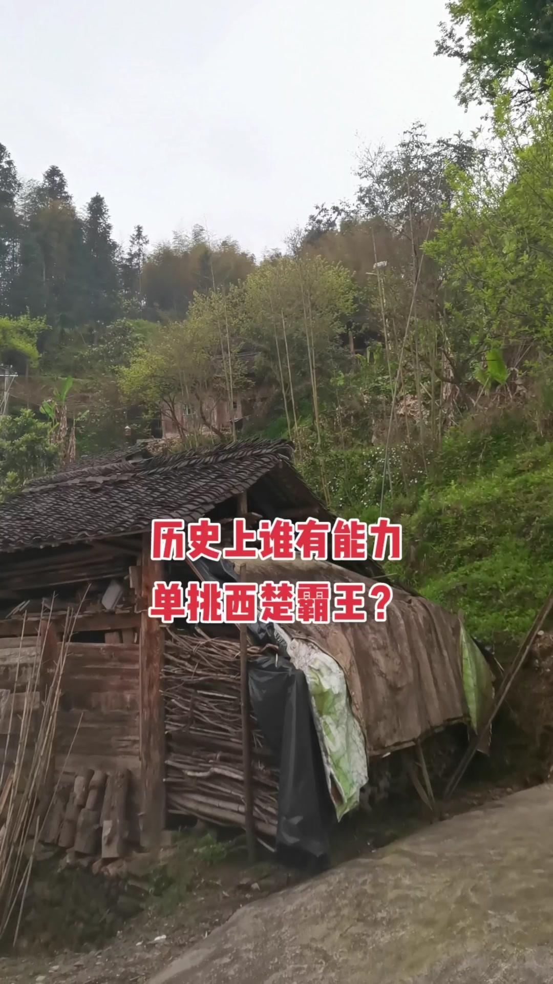 哪些人能单挑霸王项羽？🏮在历史记载里，项羽武力值堪称天花板，能单枪匹马杀穿敌军