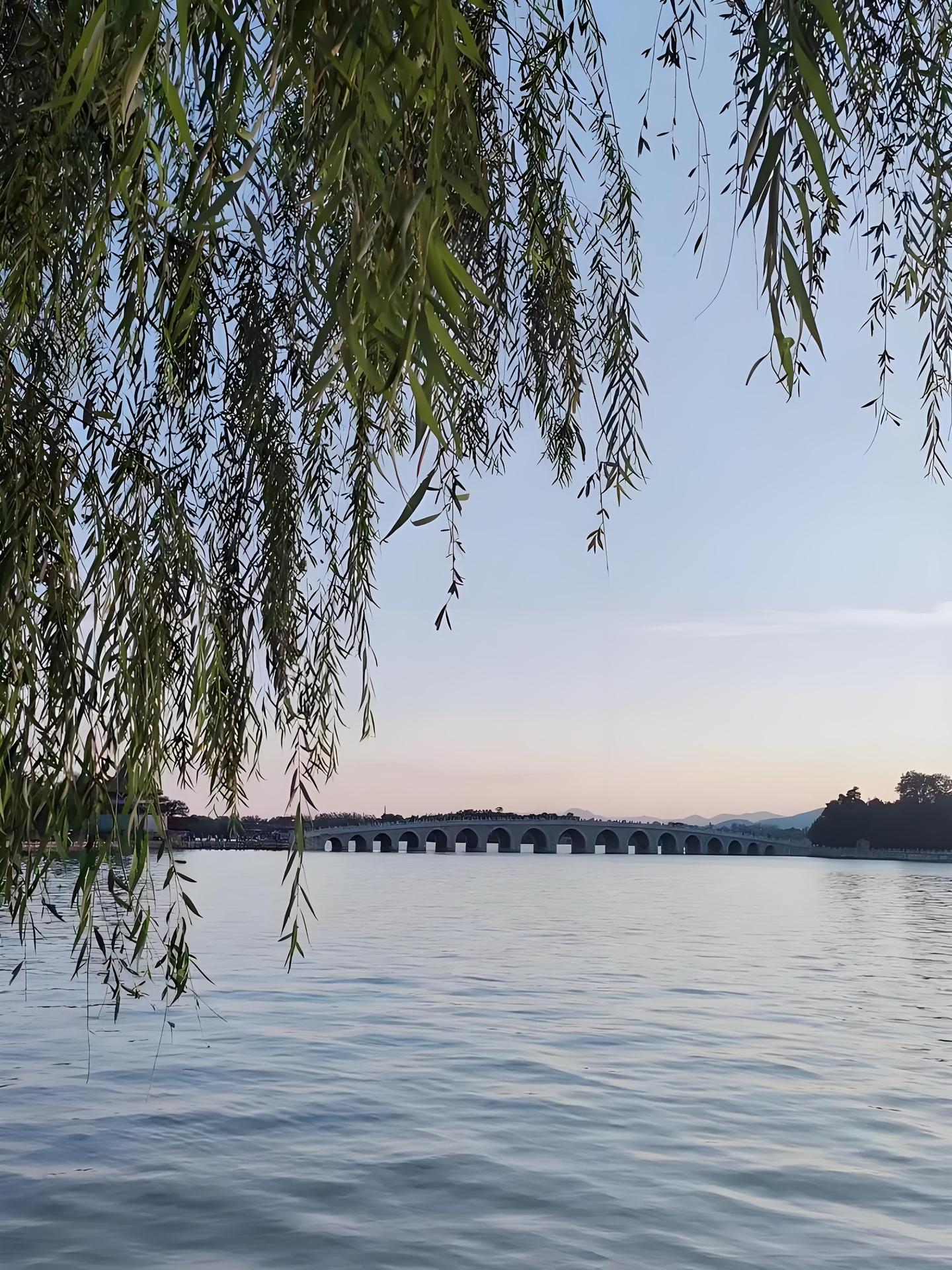体彩小姐姐 湖边垂柳美景 苏堤杨柳