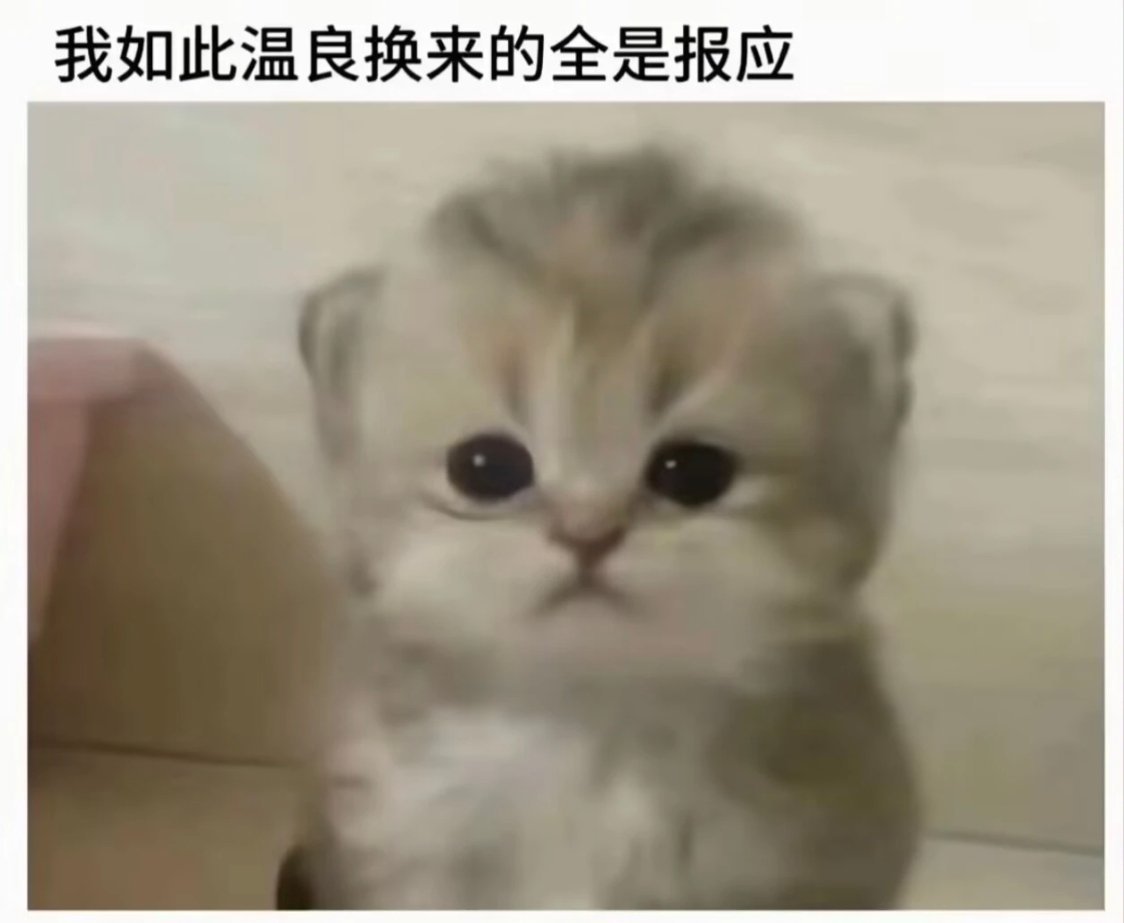 我老公做错了什么已经疲于应付傻子和风姿了 