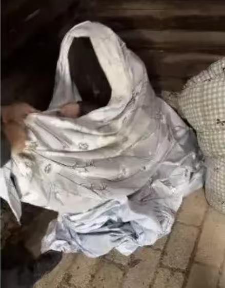 “现在的视频真的太乱了，老年人深受其害！”

近日，部分网络平台出现多条 “在云