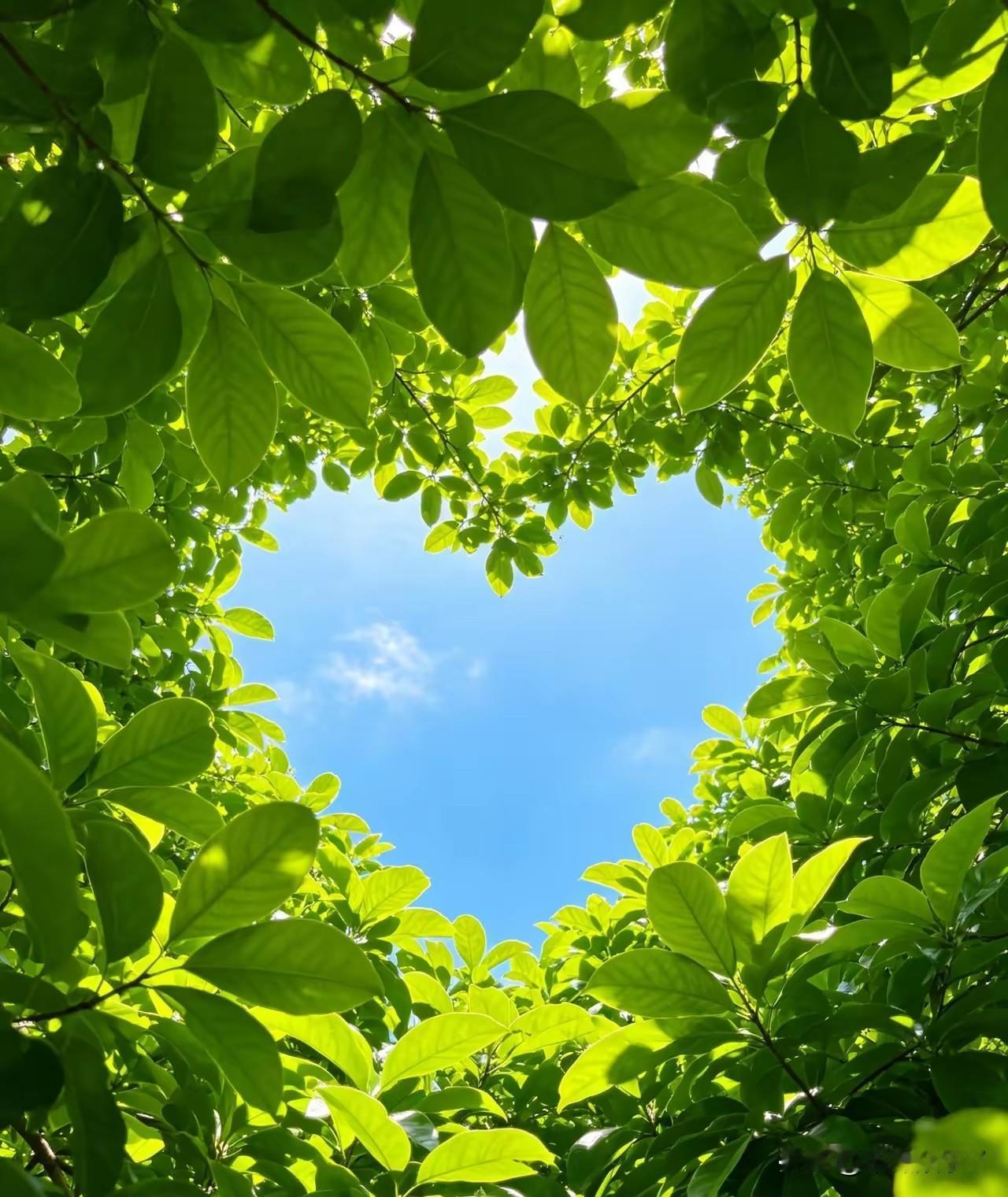 再不慎重，这个月可能要破万了！

这个月已经亏了5500。比上个月更多。

7月
