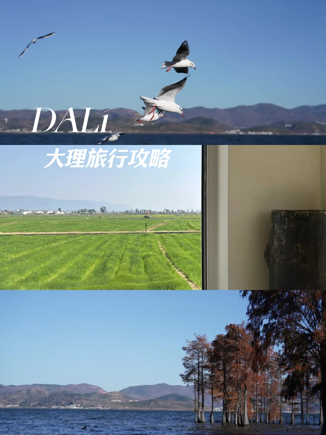 大理洱海旅行攻略|是时候说走就走了