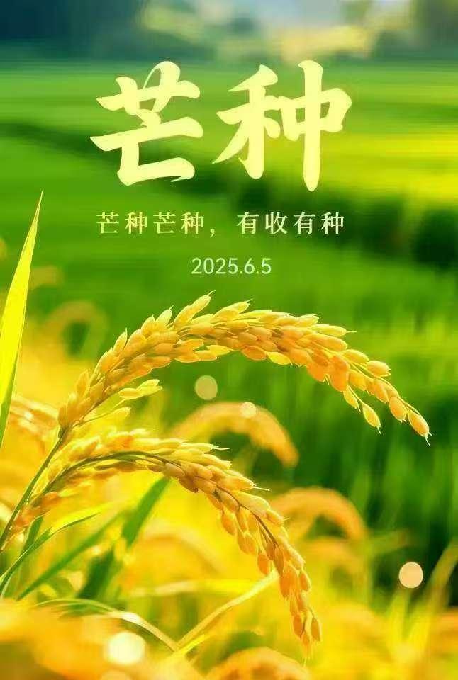 高有鹏：《乙巳芒种》

乙乙之巳
天至芒种
仰望原野
其乐融融
东风万顷
晴空香
