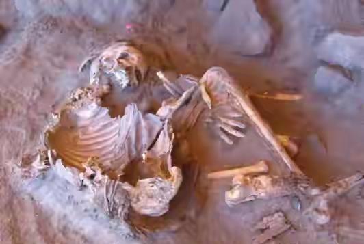 《自然》杂志最新研究显示，科学家从利比亚撒哈拉沙漠塔卡科里岩棚的两具7000年前