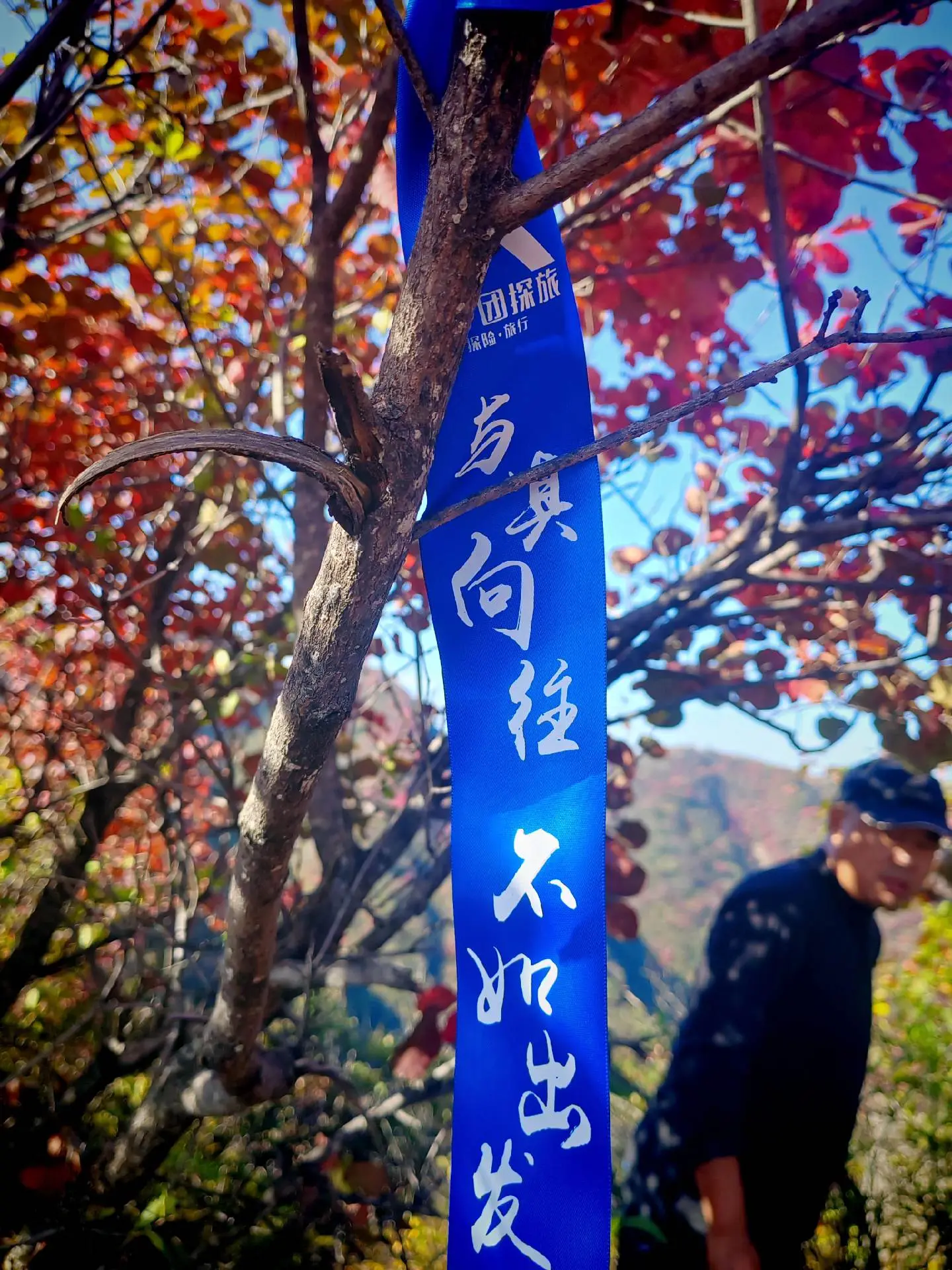 你心情好不好？又有几个人会在意呢？大家的生活都是烟熏火燎，一地鸡毛，谁...