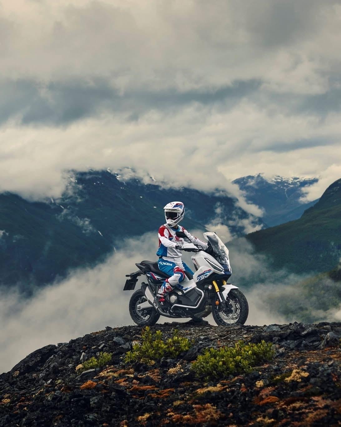 保持一颗上进的心 
做一个努力的人 
即使摘不到春天的花朵 
也一样可以拥