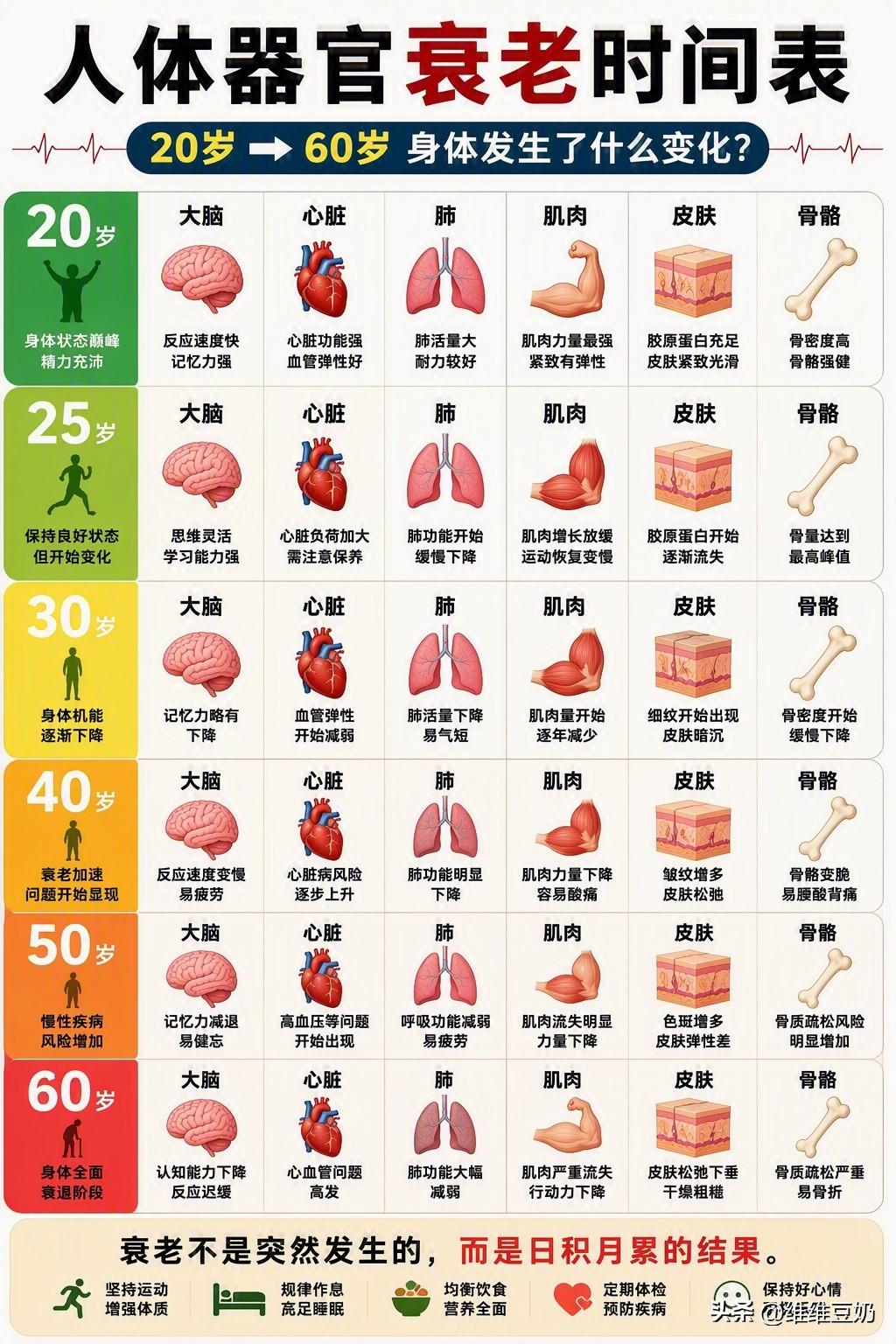 身体的很多变化， 并不是从60岁才开始。

有些器官从30岁左右， 就已经开始缓