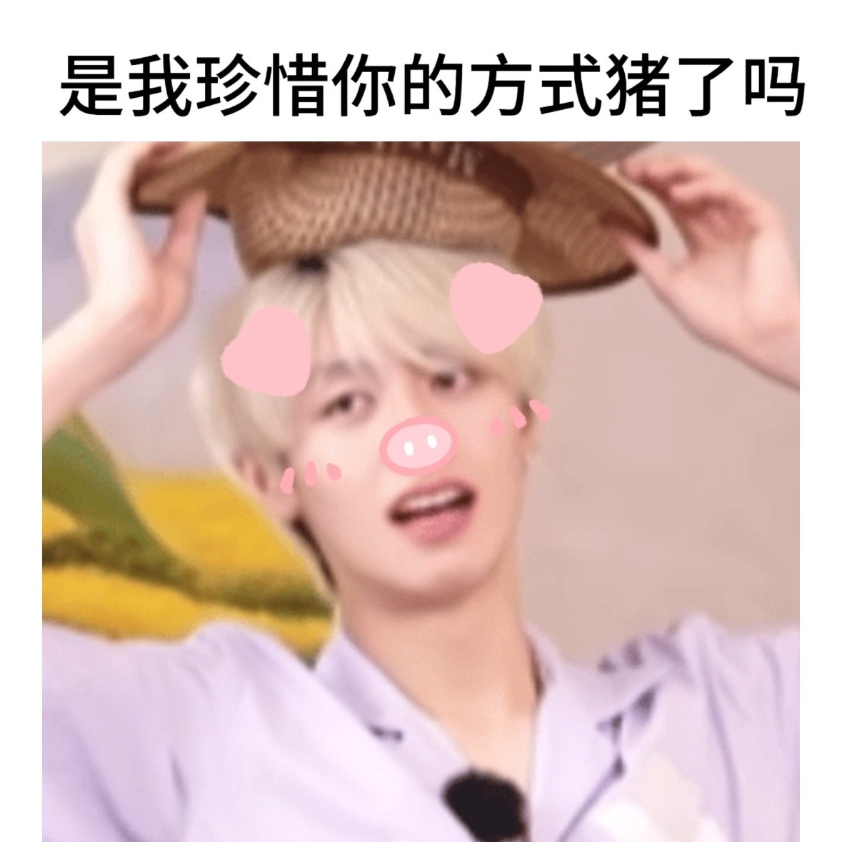 每天想着这只小猪猪🥺🥺😭朱志鑫