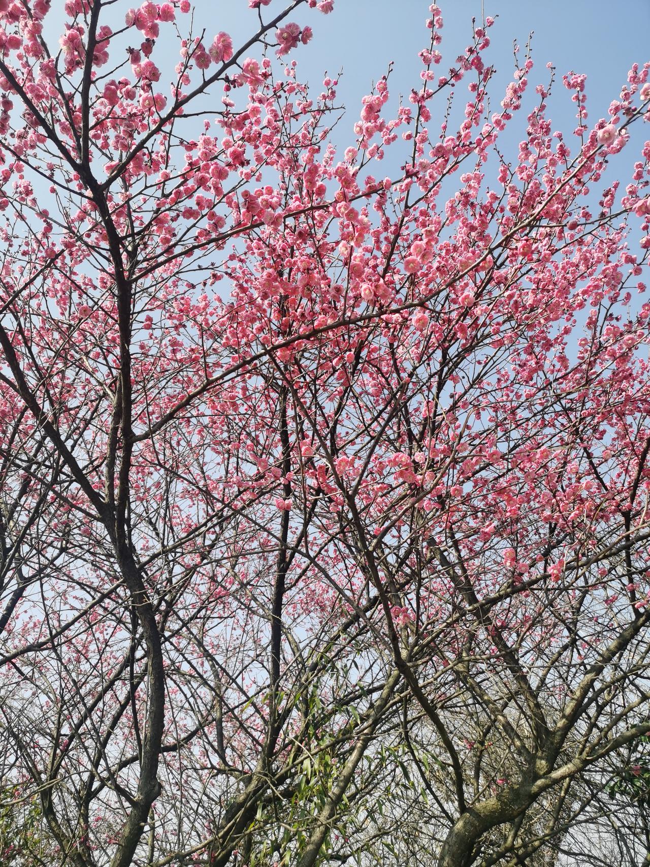 真是让人纠结的问题。
有人说被爱幸福，就像被捧在手心里的宝贝。朋友小徐，她男友对