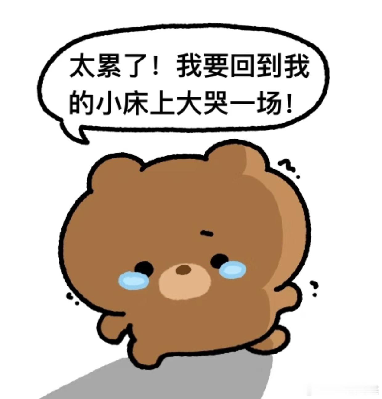 没有VVIP我就跑小浩去玩了 
