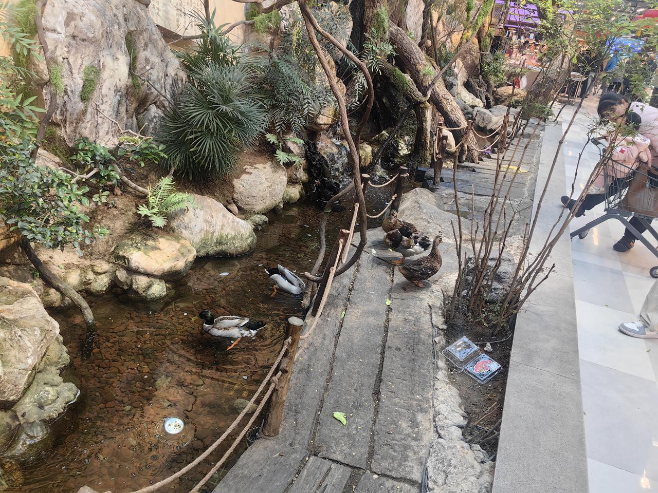 又见荣和小鸭子，顾客盈门，熙熙攘攘，快乐时光。[送自己一朵花][送自己一朵花][