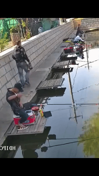 男子钓鱼时操作失误，竟然一头栽进鱼塘里？
好在他及时被人救了上来。
真是太危险了