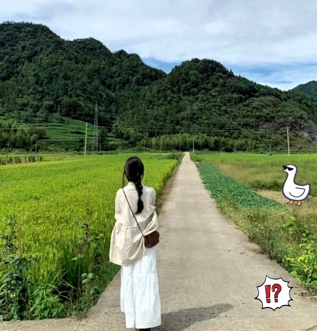 九年攒下50万！
手握黄金不买房，普通人的活法太通透了！

说实话，女人兜里有钱