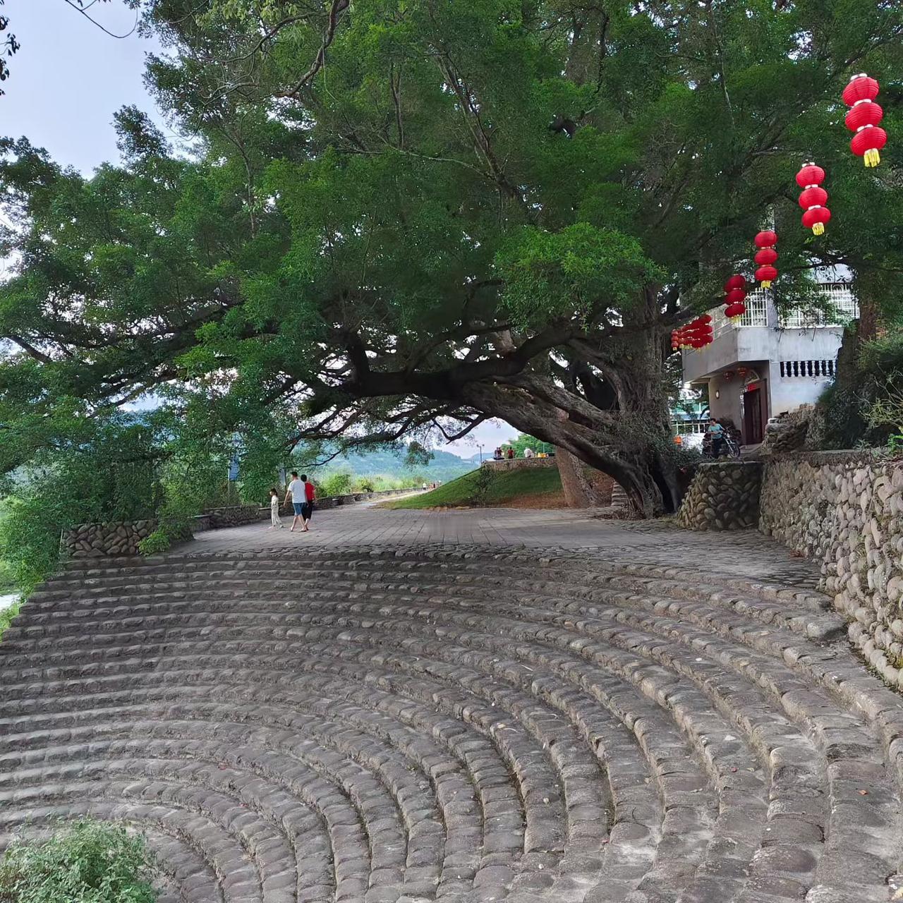 人走茶凉，是世间常态，慢慢也就坦然接受。在职时往来热闹，靠着共事的缘分互相帮扶，
