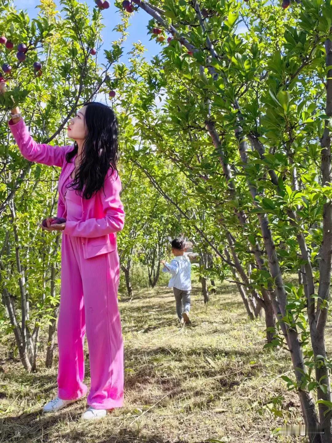 在自律方面，我最佩服的人就是我姑娘。
         我姑娘怀孕后，怕孩子没营