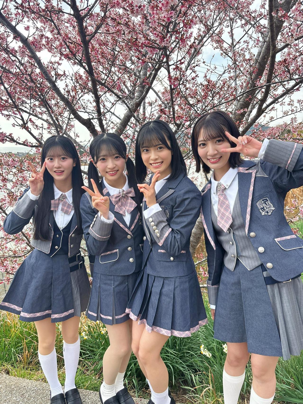 春日花下笑，芳菲满眼开。