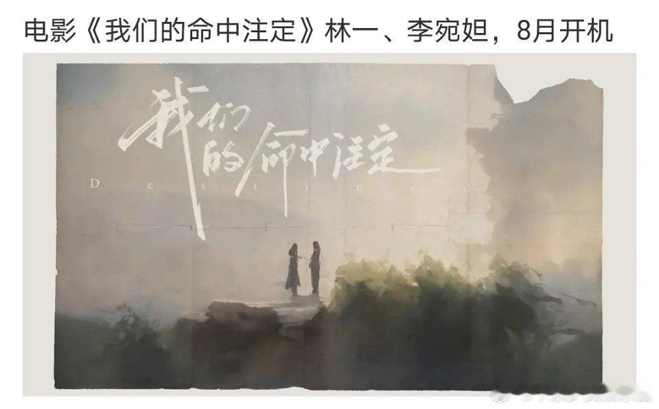 林一李宛妲合作新电影，他俩没一个能抗票房的[裂开] ​​​