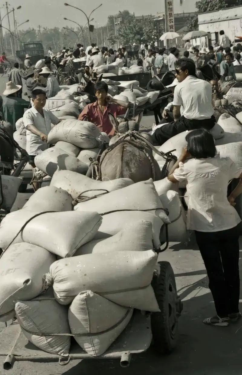 人大代表一句话，说到农民心坎里
 
网上总有人质疑：农民没交社保，凭啥领养老金？