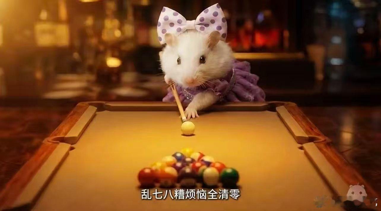 心愿便利贴传到动物界了乘风2026心愿便利贴传到动物界，这氛围感比人类还甜 