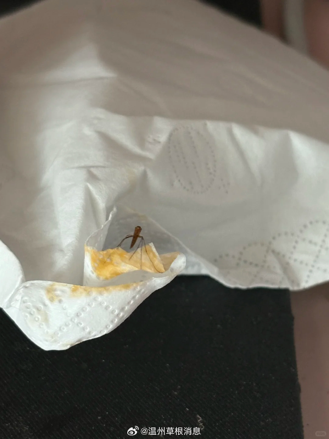 【温州连锁麻辣烫，汤里捞出虫】网友爆料，在温州南白象某知名连锁麻辣烫店，没吃几口