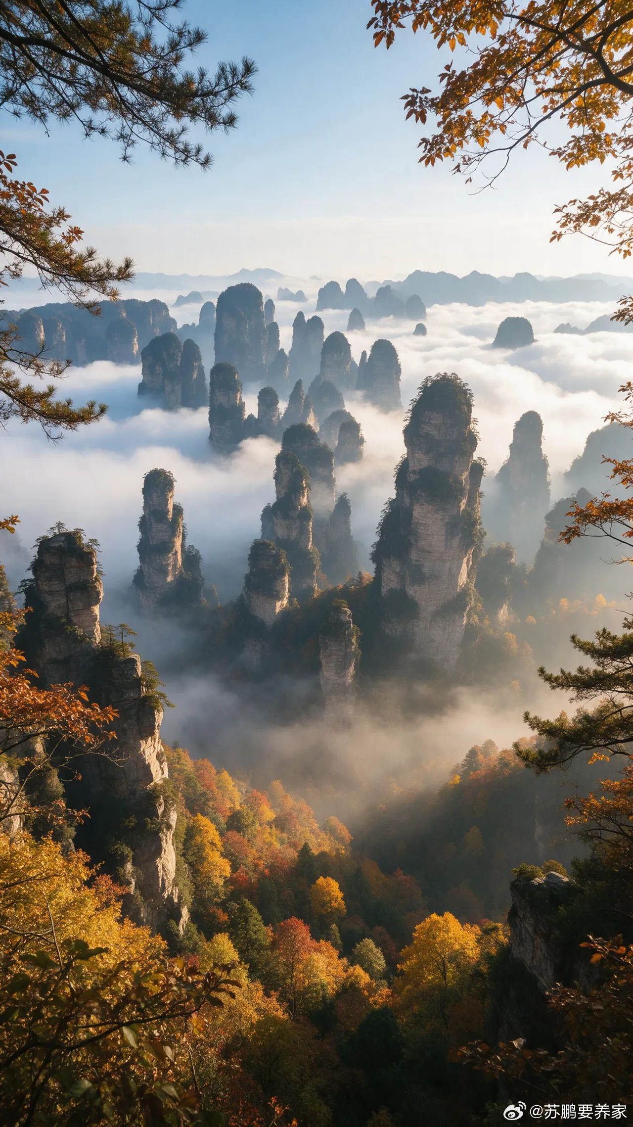 a股即将进入今年最后的一轮拉升行情，周五主力放量，增加4000多亿，那么本轮反弹