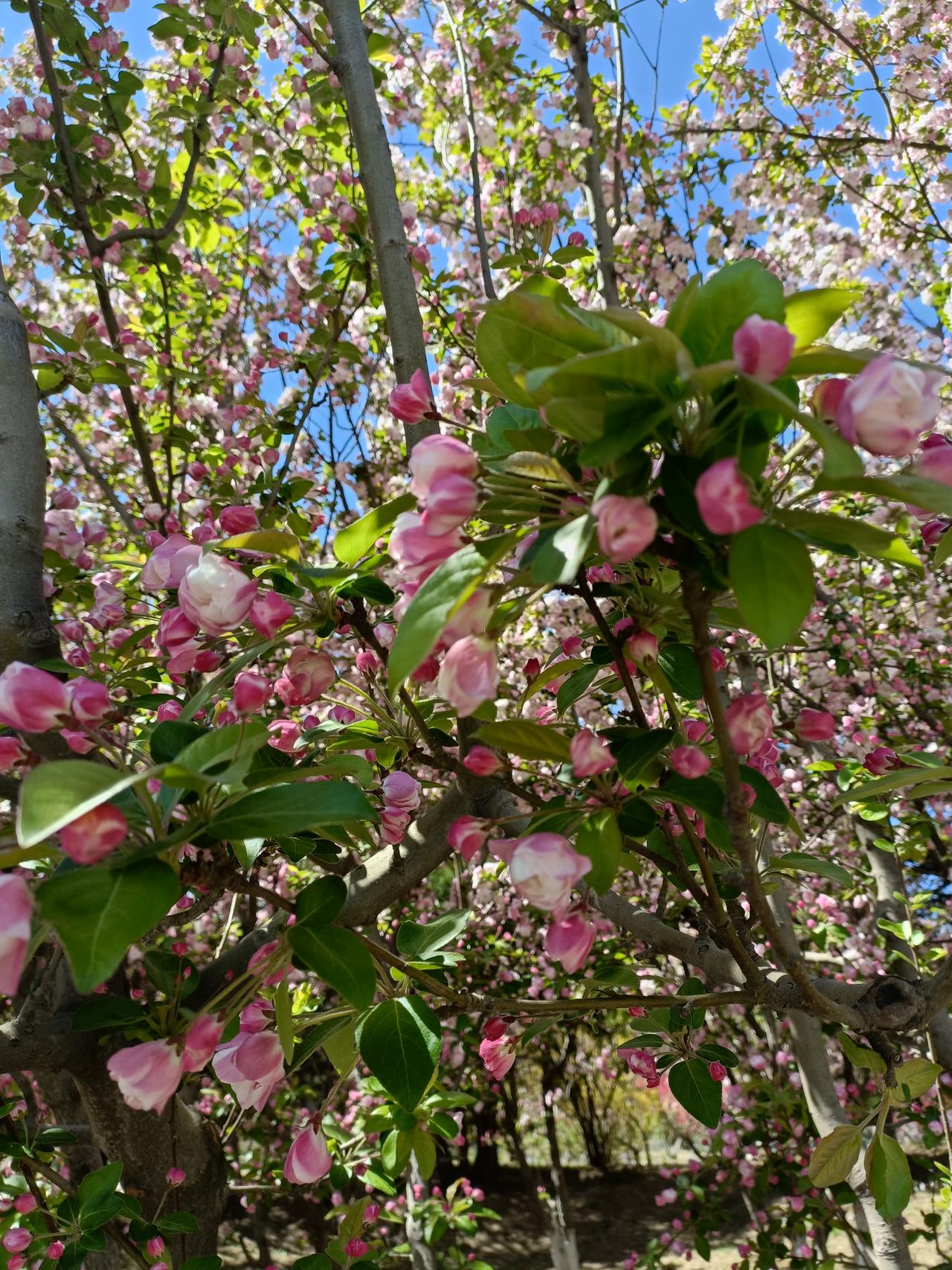 上有老下有小，自己工作压力大，这是人生爬披的必经之路，熬过去，前面一片曙光