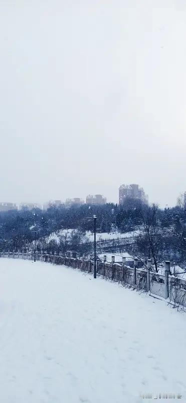 给大家分享一张我拍的雪景图。画面里，整个世界银装素裹，树木都被厚厚的雪包裹，像极