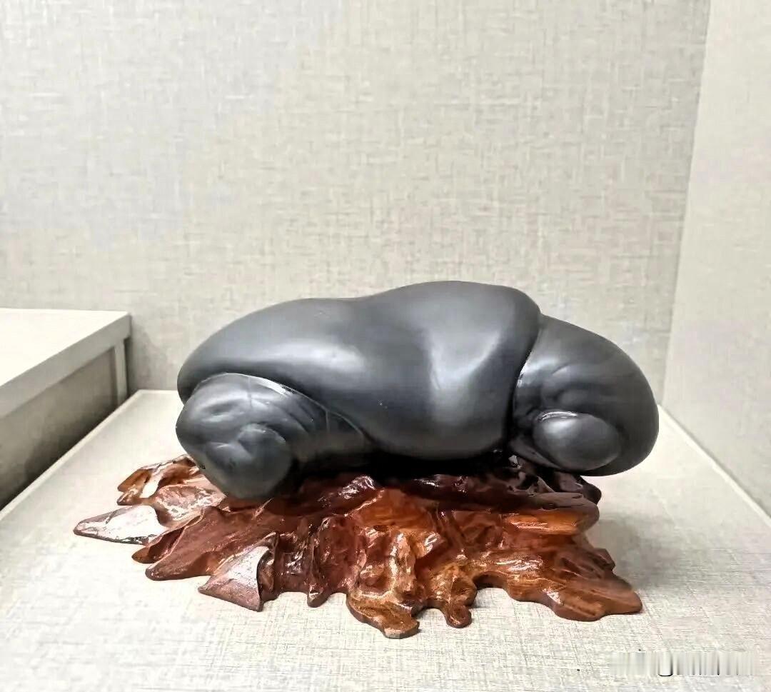赏石 品佳作