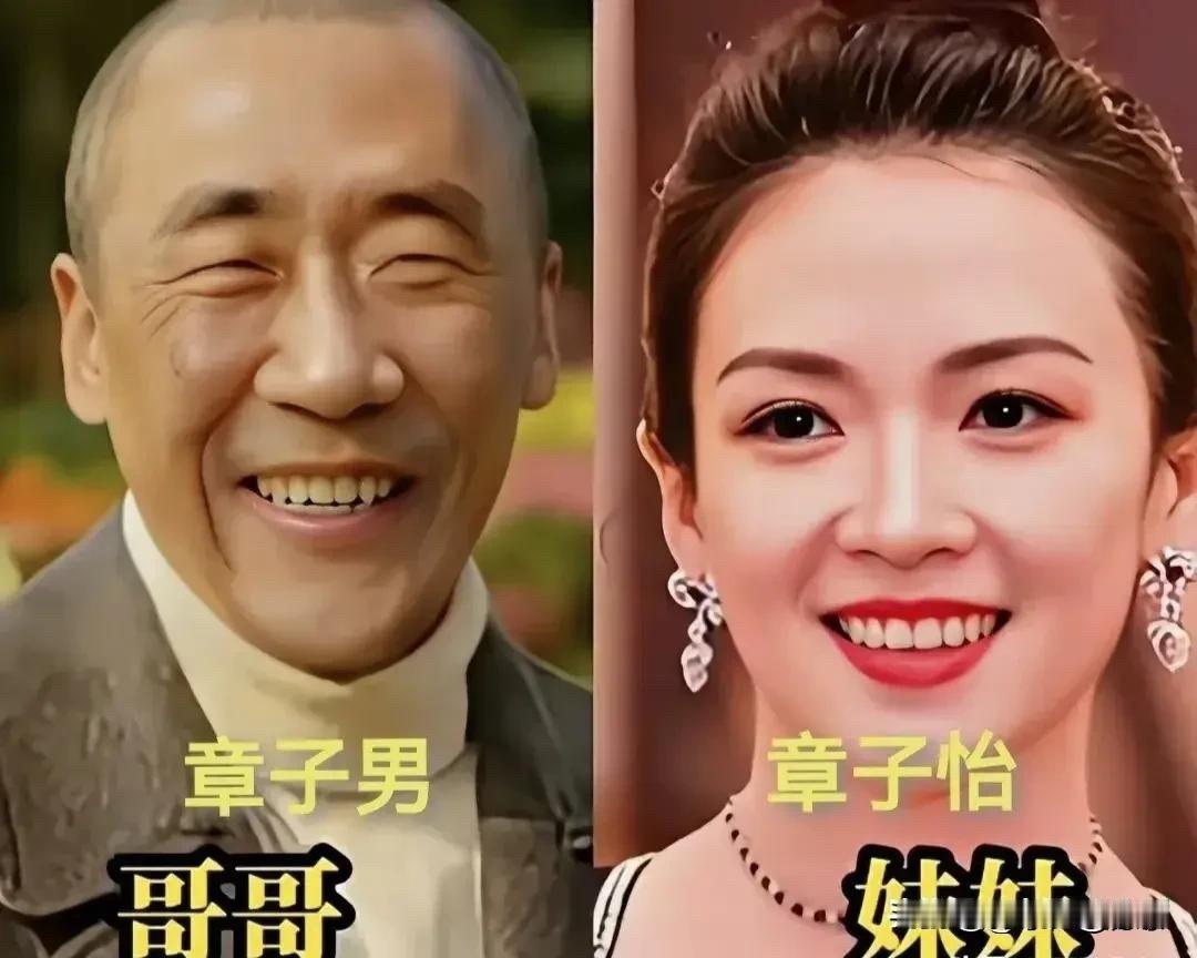 都说“打虎亲兄弟，上阵父子兵”。在五光十色、竞争激烈的娱乐圈，如果有至亲兄弟姐妹