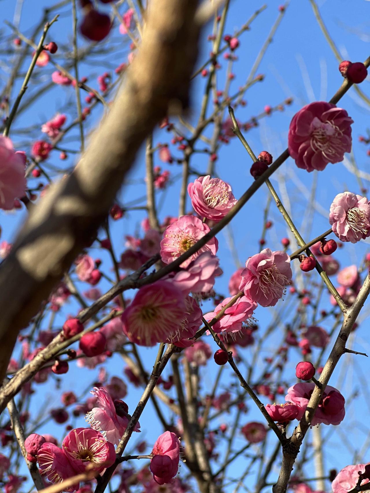 别再拿“忙”当挡箭牌了，听老中医一句劝：中年后身体能不能硬朗，全在下面这10件不