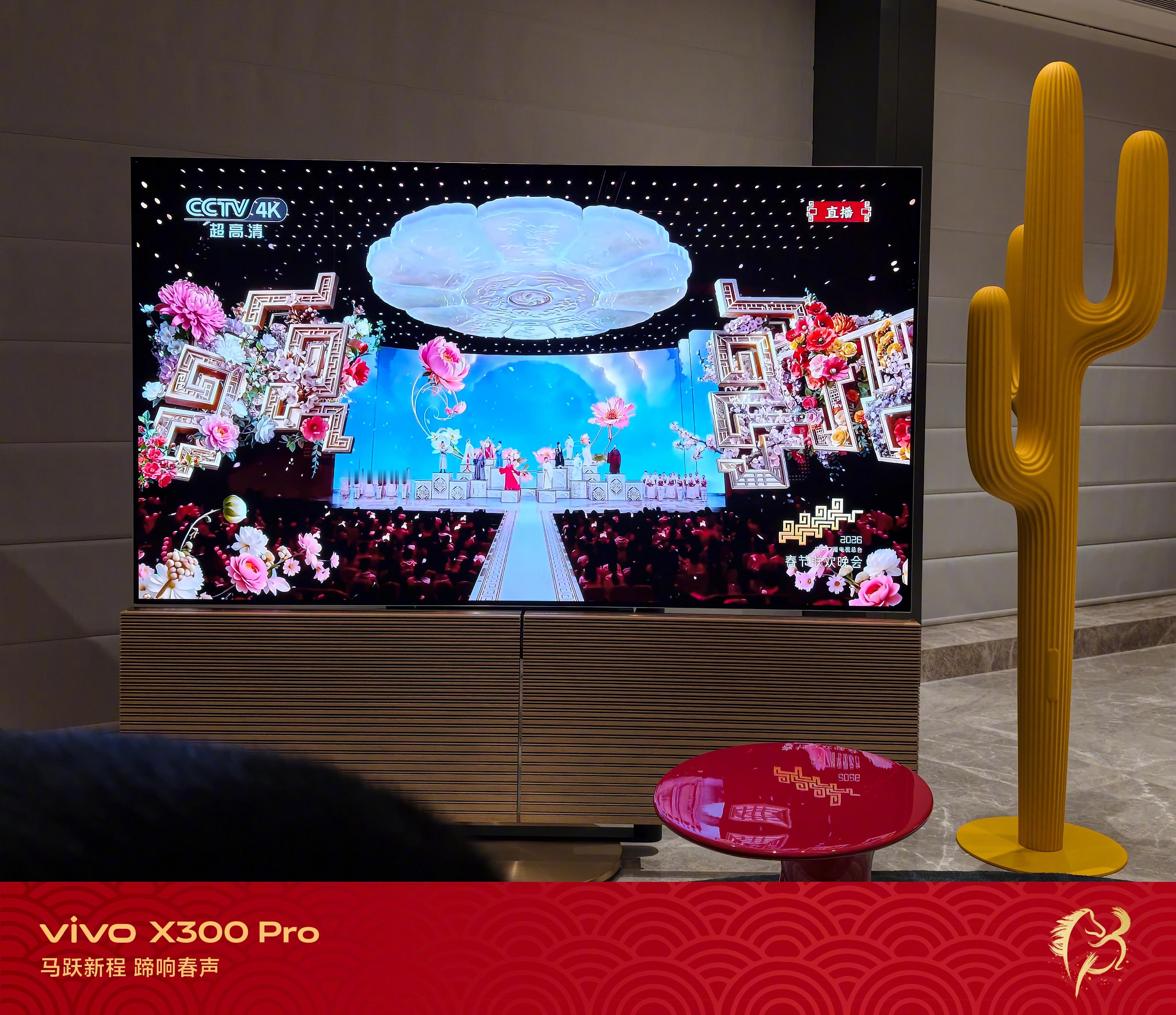 春晚贺花神节目，我想知道作为观众，现场做什么？