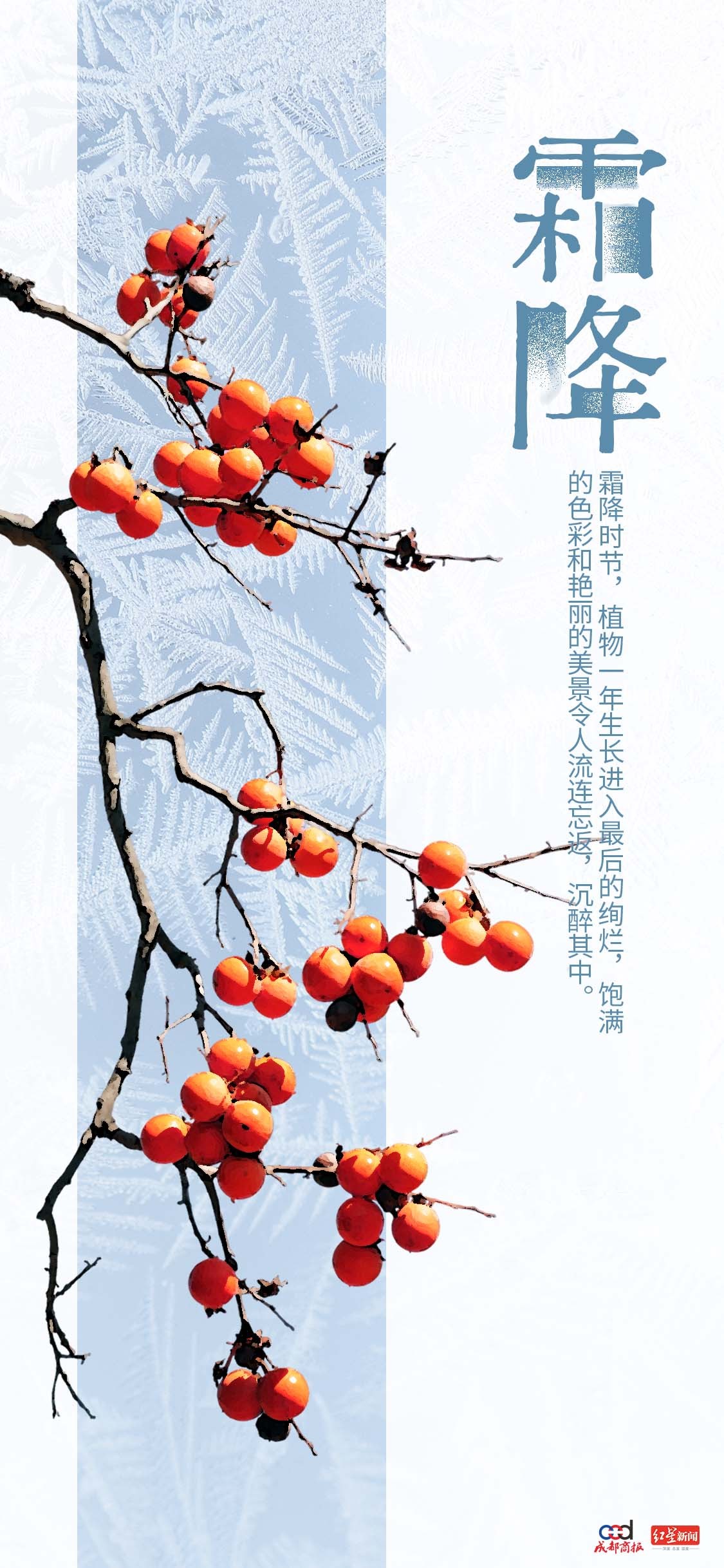 【#霜降是秋季向冬季过渡的节气#】#好事成霜喜从天降# 今日“霜降”，秋季最后一