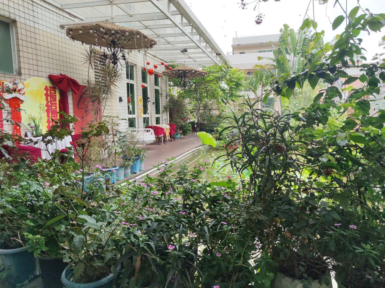 宁静的花园咖啡馆  绿意盎然，花团锦簇，五一假期享受悠闲时光。