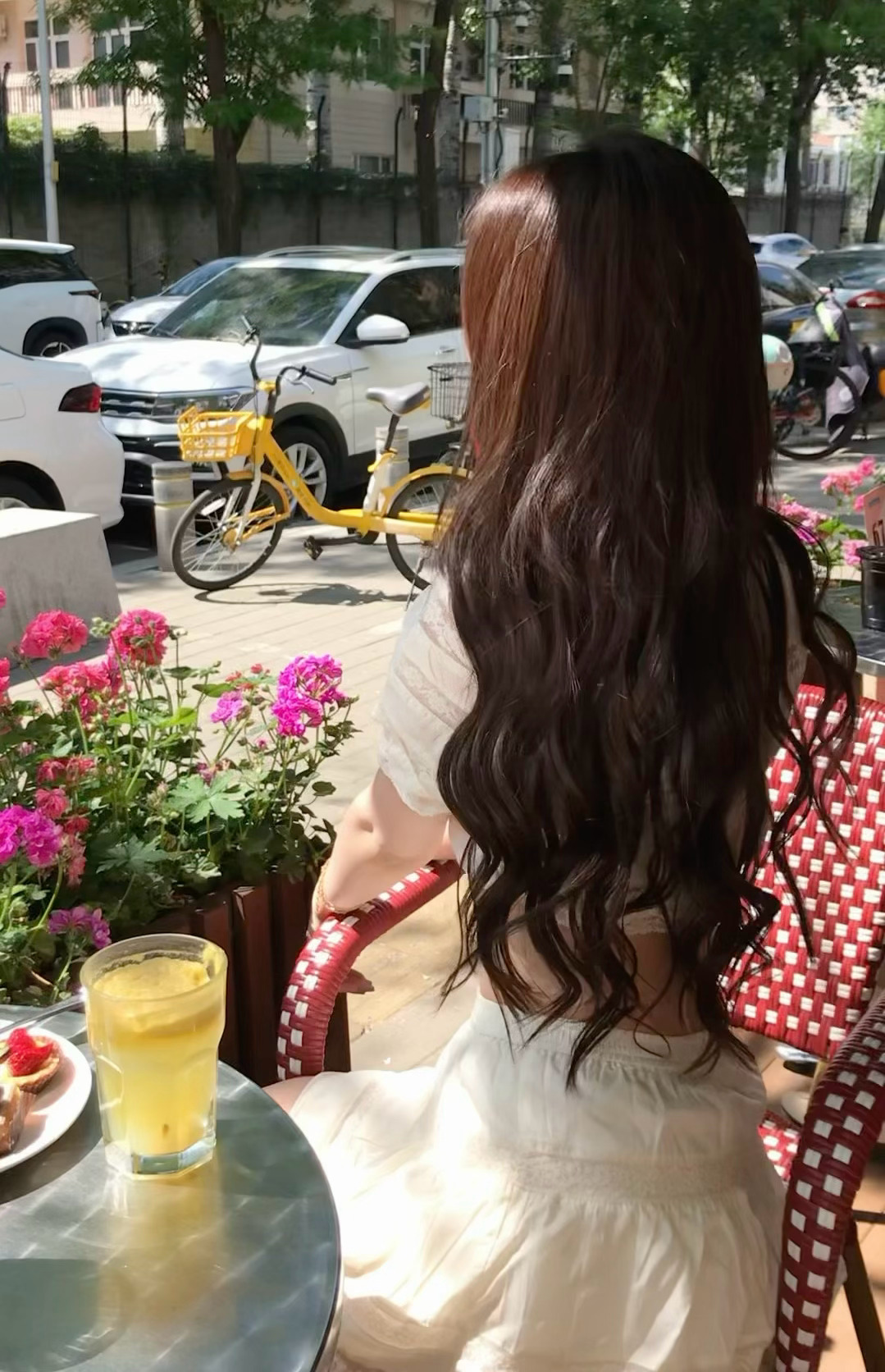 🌺 