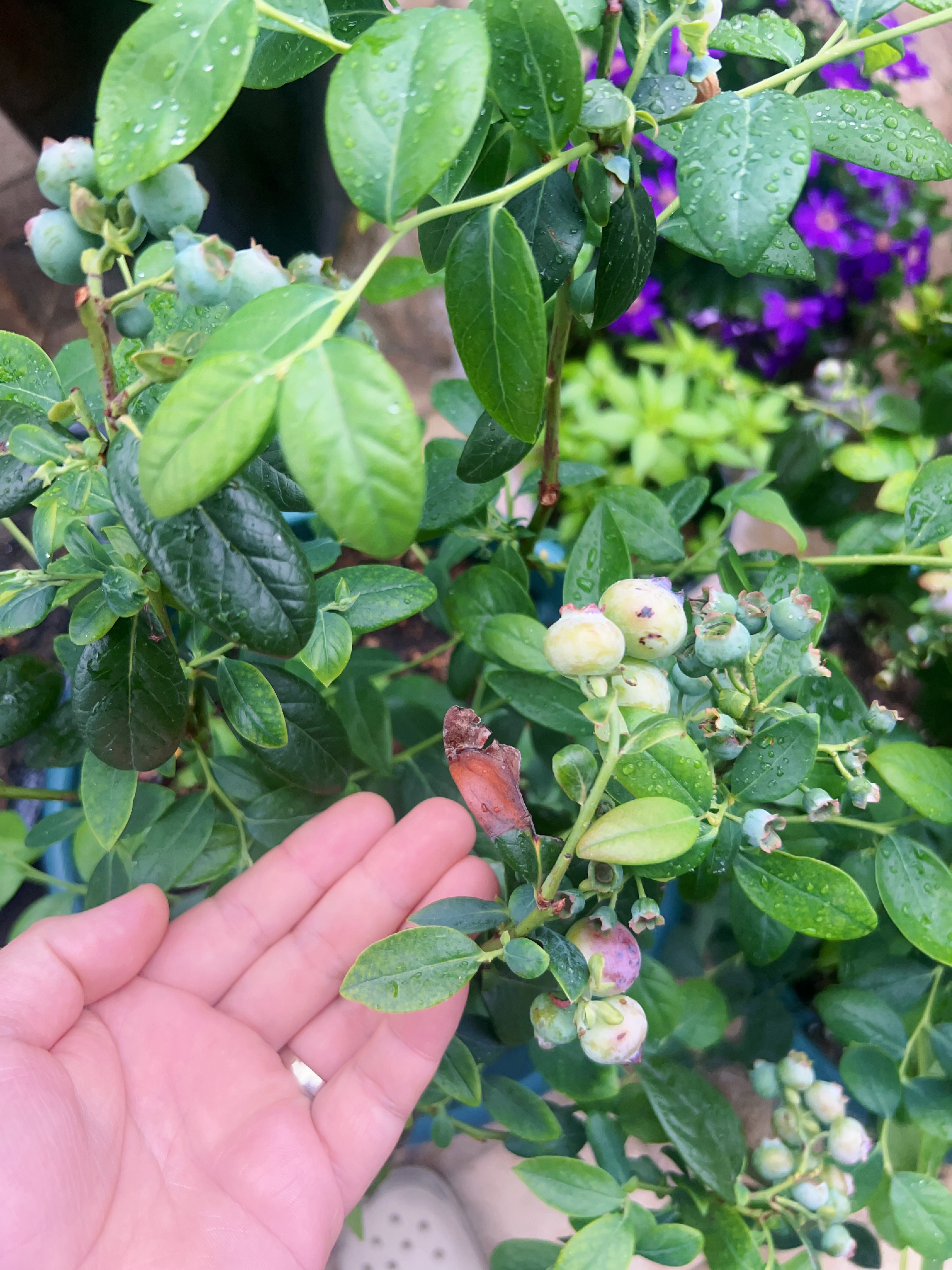 伊朗抓住了美国的要害每一打仗真的是为难小散户，证券板块和科技板块一样，都是整理时