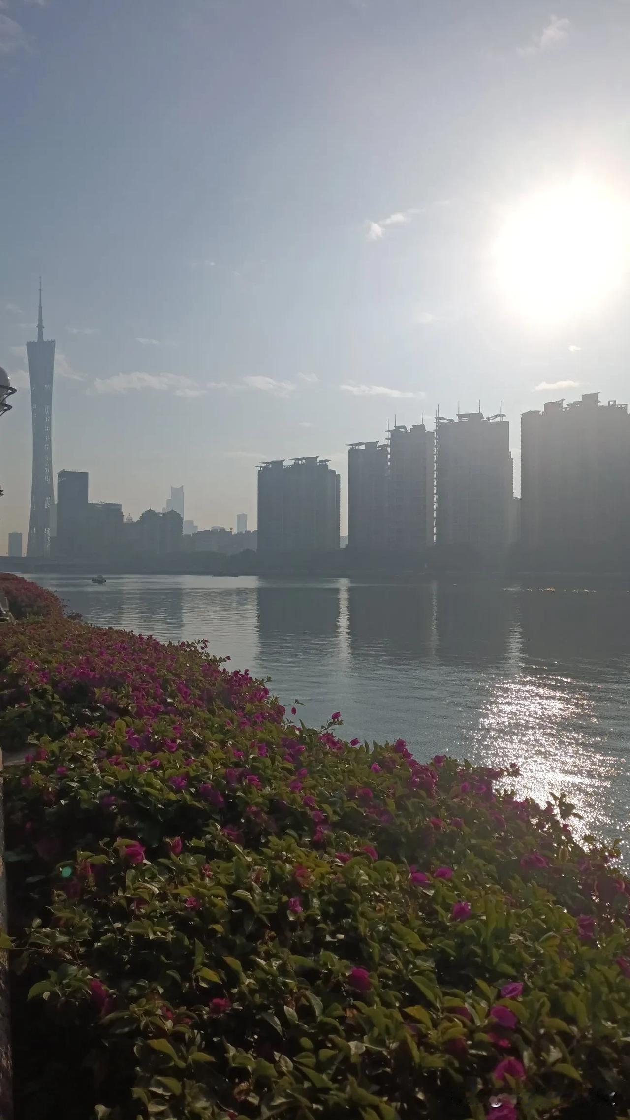 1月5号太阳又出来了，心情也跟着明朗起来。在广州，有太阳的日子总是格外珍贵。今天