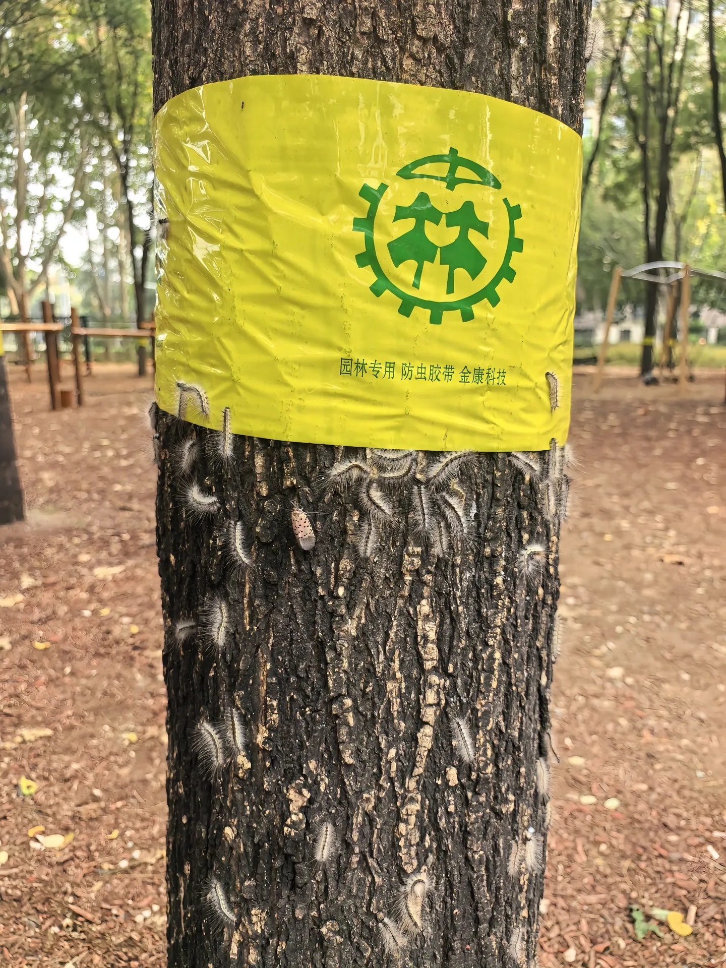 现在咋全是这玩意儿[裂开]原来大家假期都是这样度过的 ​​​