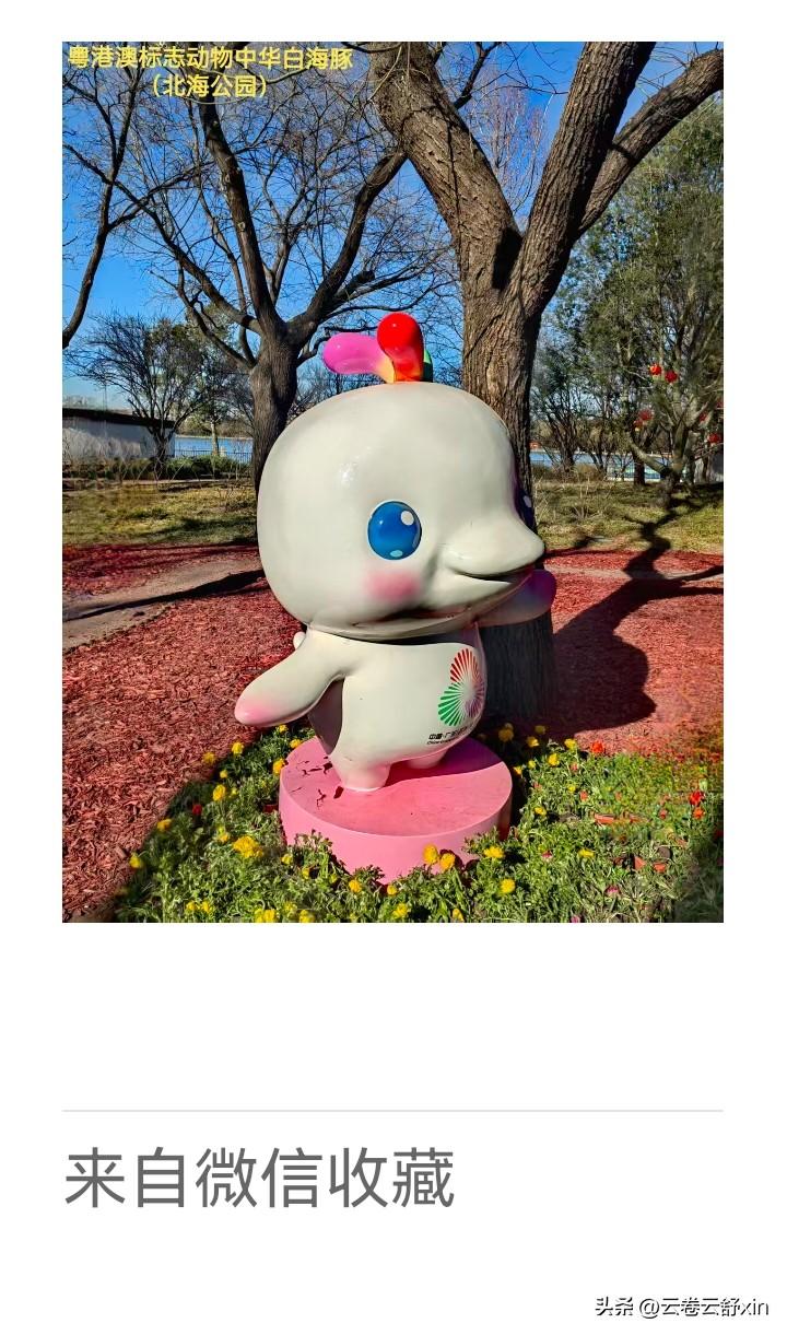 《老乐美拍·白海豚吉祥物》

银豚凝憨态，
胸贮粤海风。
衔春自港澳，
送福入花