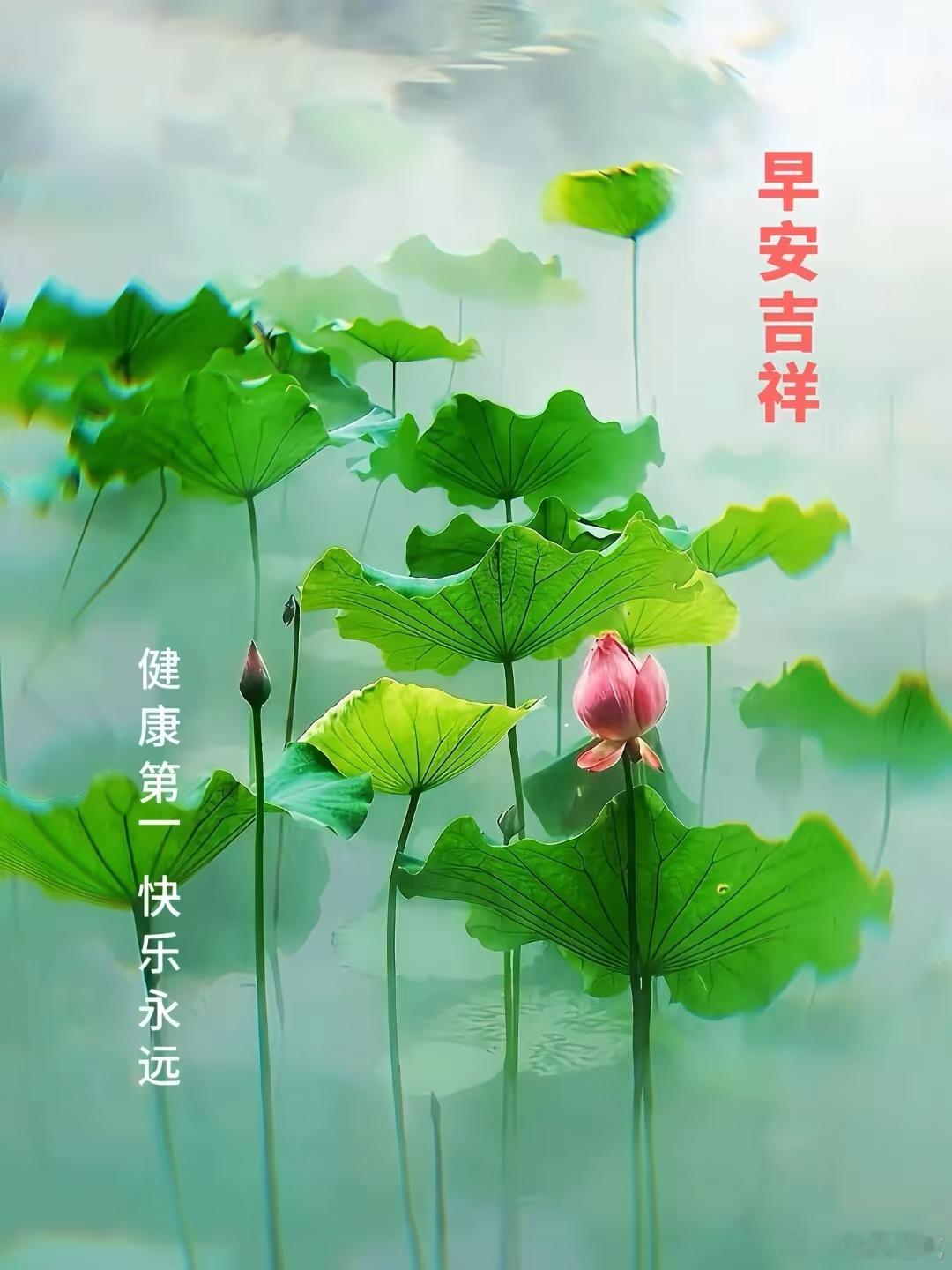 每天摸鱼打卡让快乐迎来今天，让开心走过每一天，世界很大，幸福其实很小。一粥一饭的