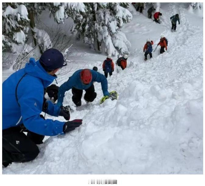 好家伙，说了尽量别去日本旅游，还去，去就算了，还去滑野雪，被困了喊救援，来旅个游