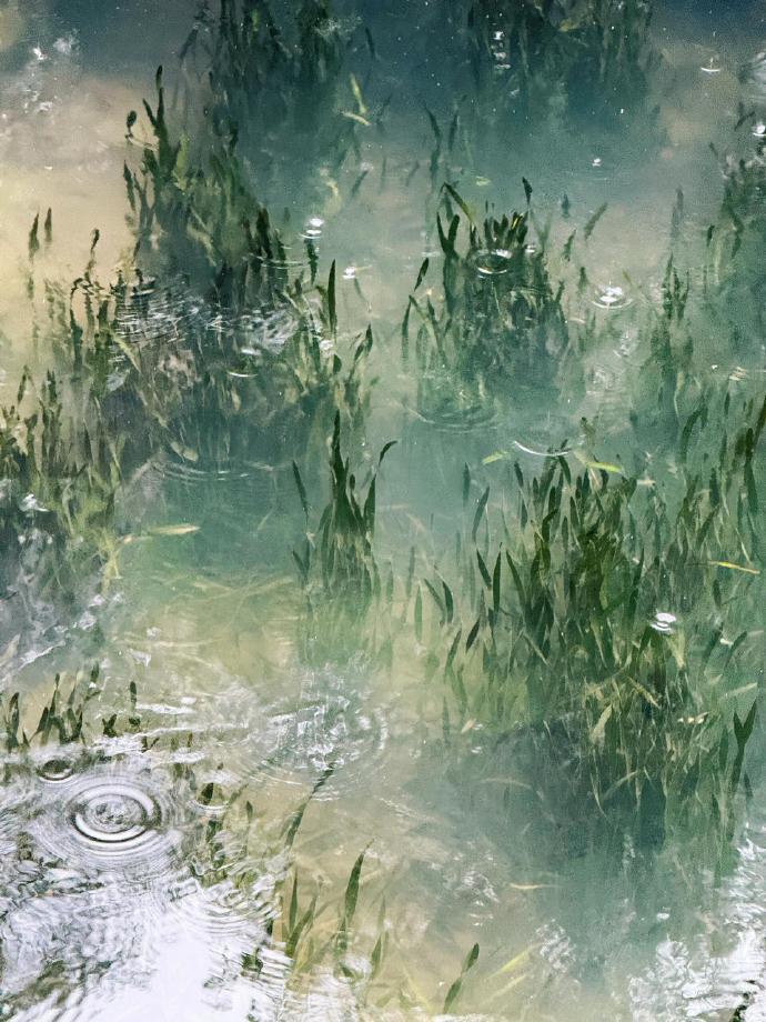 在江南的烟雨中，每一步都是诗。这里，水墨丹青绘就了一幅幅动人画卷，古桥流水、烟笼