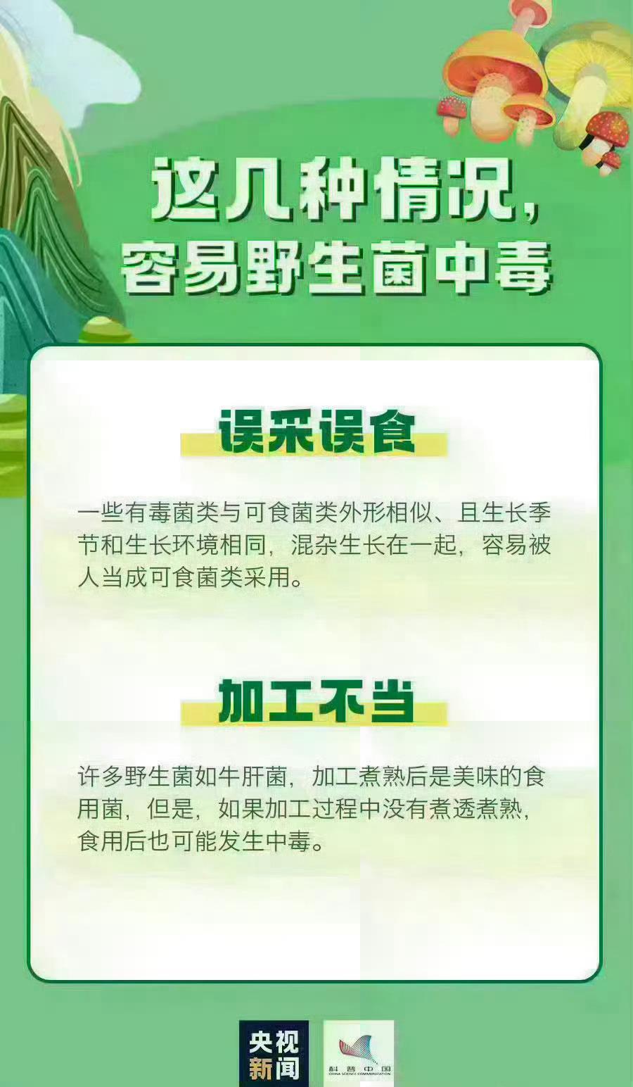 这女子吃 2 斤见手青幻视被人追杀的事儿太吓人了！杭州的云南籍王女士就是个“菌子