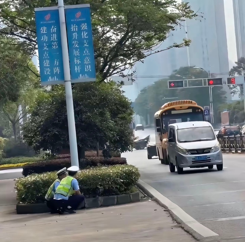 现在你知道为什么明明没有看到👮，突然冒出来逮你了吧。因为他们是妲己和安琪拉，见
