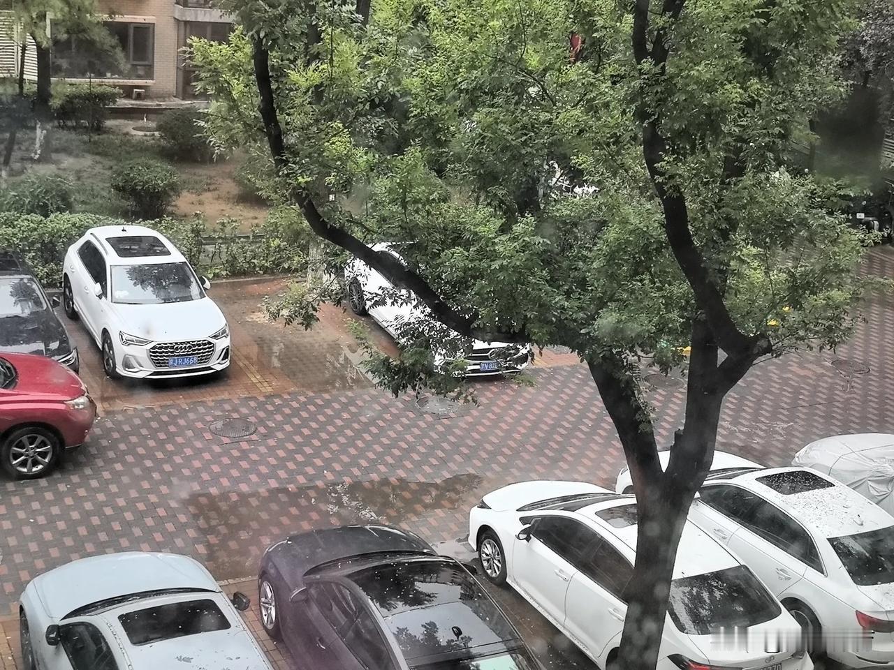 这个夏天雨水异常的多，天气比南方还“南方”。