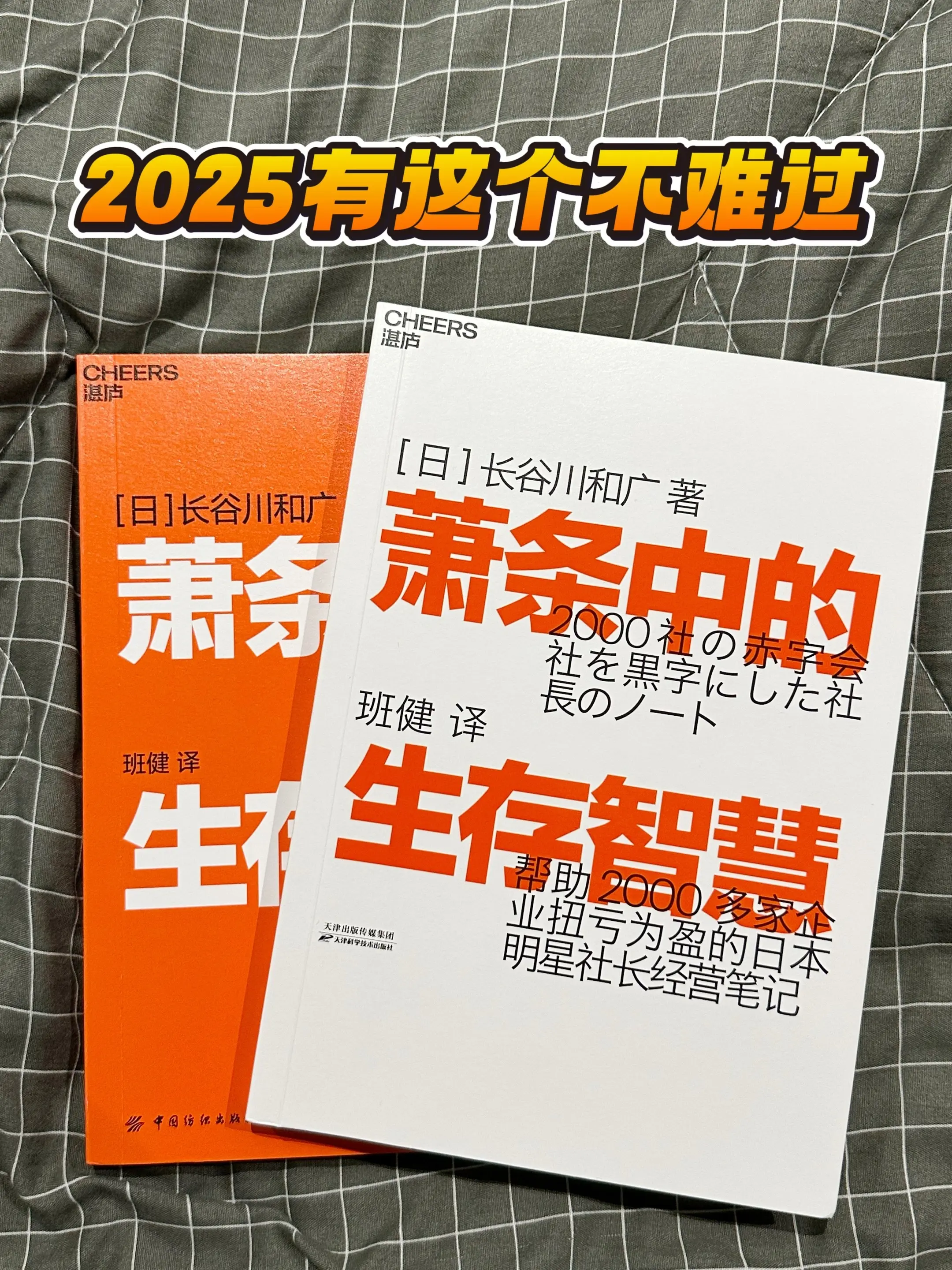 2025有这个不难过。