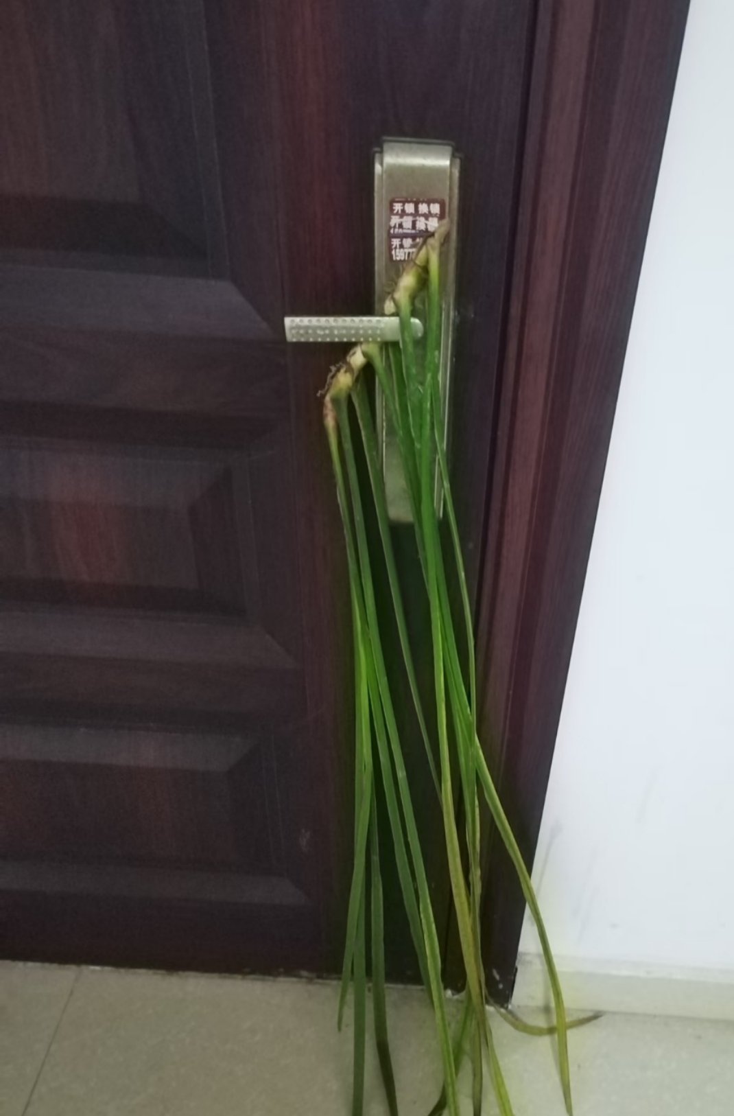 家门口有人放这个东西，是什么？ 