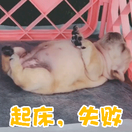 起床，觅食去_(:з」∠)_别急 ​​​