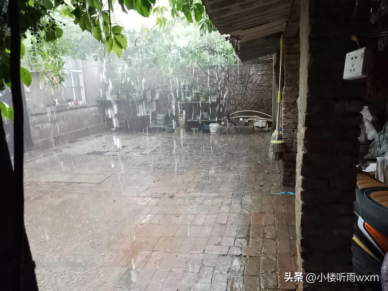 
        昨天的一场短时暴雨，让我终于体会到什么是“暴雨如注”。
   